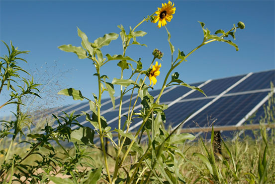 AIRPORTS-&-ENVIRONMENT-denver-solar